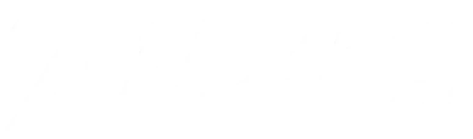 Zabih WP Dev White Logo